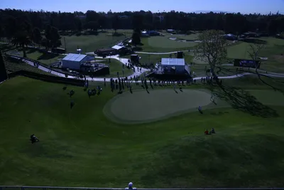 DSC_0723 (Large).JPG